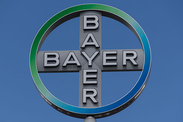 bayer dr scholl's